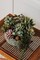 Artificial Succulent Plants Fake Assorted - 16 Pack (16 Pcs Assorted Succulents) 1.6"D x 1.6"W x 13.2"H